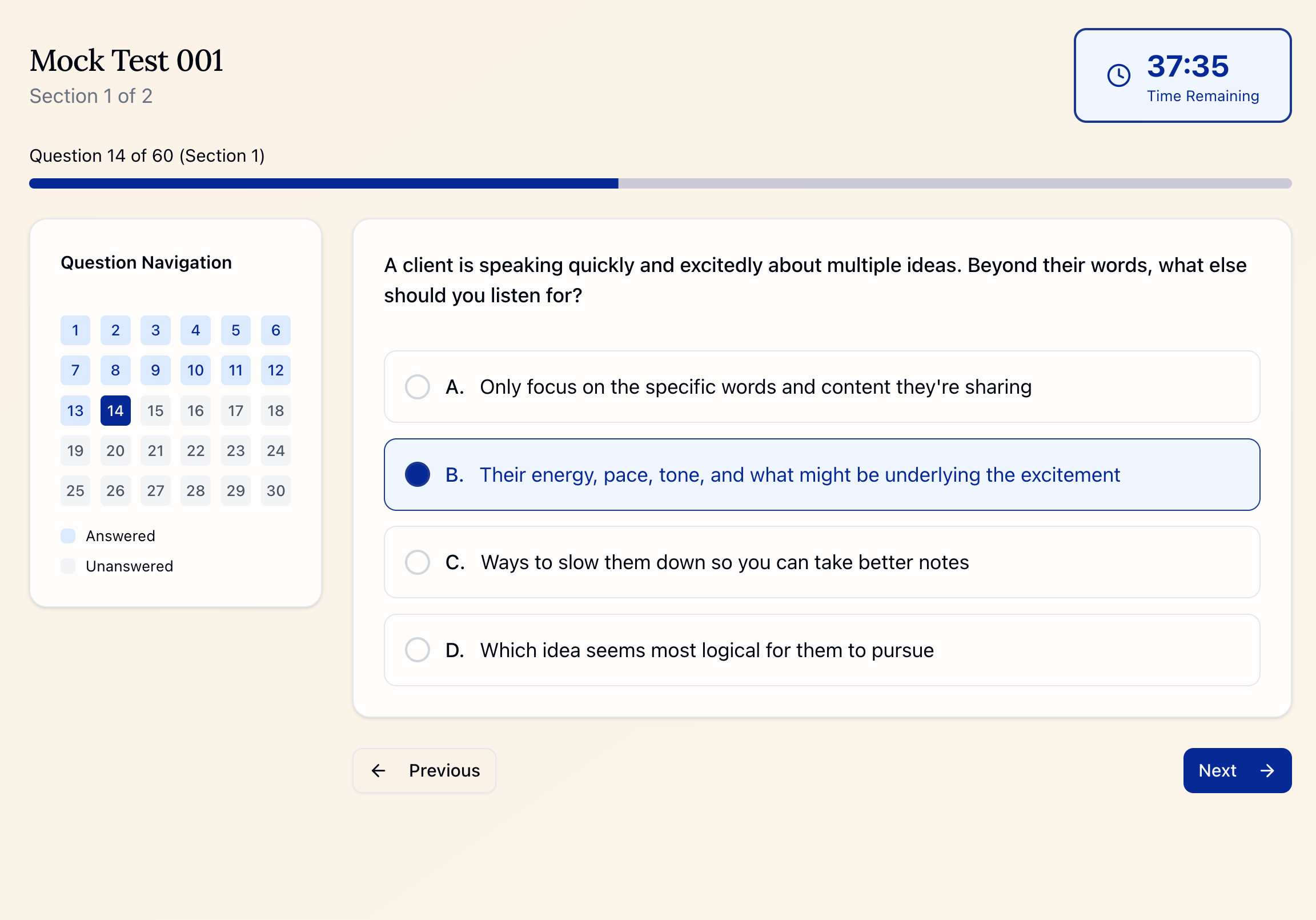 Mock Test Interface Preview